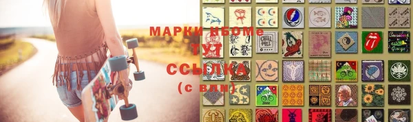 сатива Чекалин