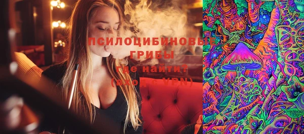 гашик Чегем