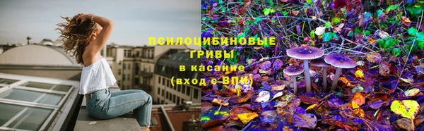 ECSTASY Киреевск