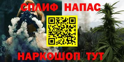 прущие грибы Бийск