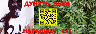 МДПВ Бийск