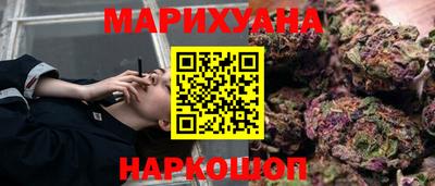 МДПВ Бийск