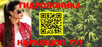 МДПВ Бийск