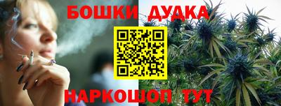 прущие грибы Бийск