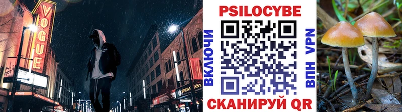 купить закладку  Димитровград  Псилоцибиновые грибы MAGIC MUSHROOMS 