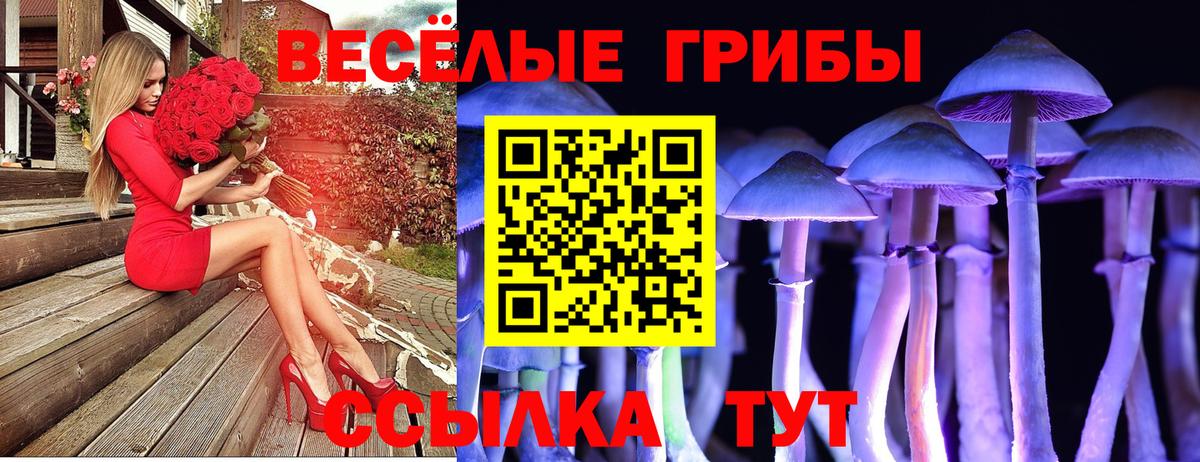 Галлюциногенные грибы прущие грибы Димитровград