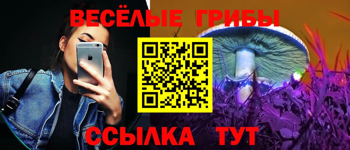 Галлюциногенные грибы Psilocybine cubensis Димитровград
