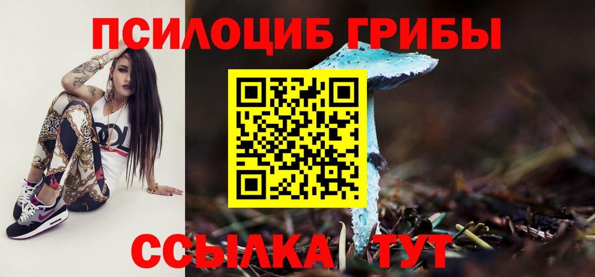 Галлюциногенные грибы MAGIC MUSHROOMS  Псилоцибиновые грибы Cubensis  Димитровград 