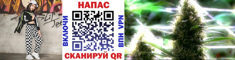 Шишки марихуана тримм  сколько стоит  Димитровград 